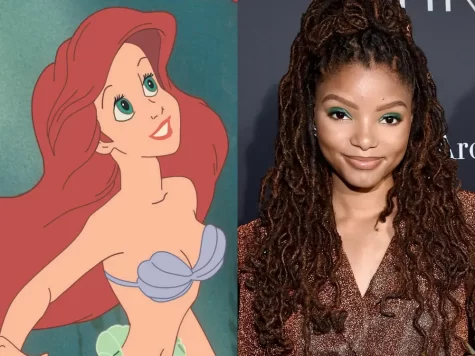 Why Ariel should have stayed white